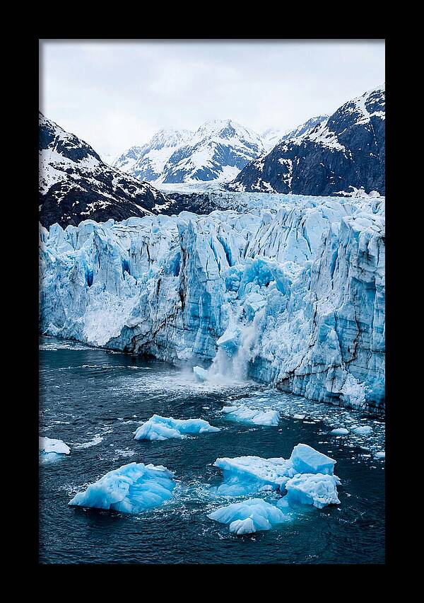 Tidewater Glacier Calving Into Fjord