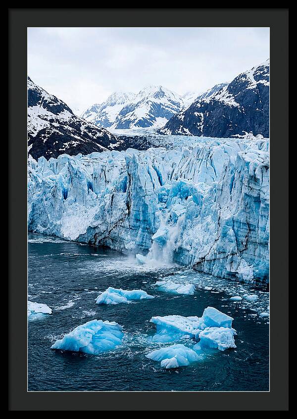 Tidewater Glacier Calving Into Fjord