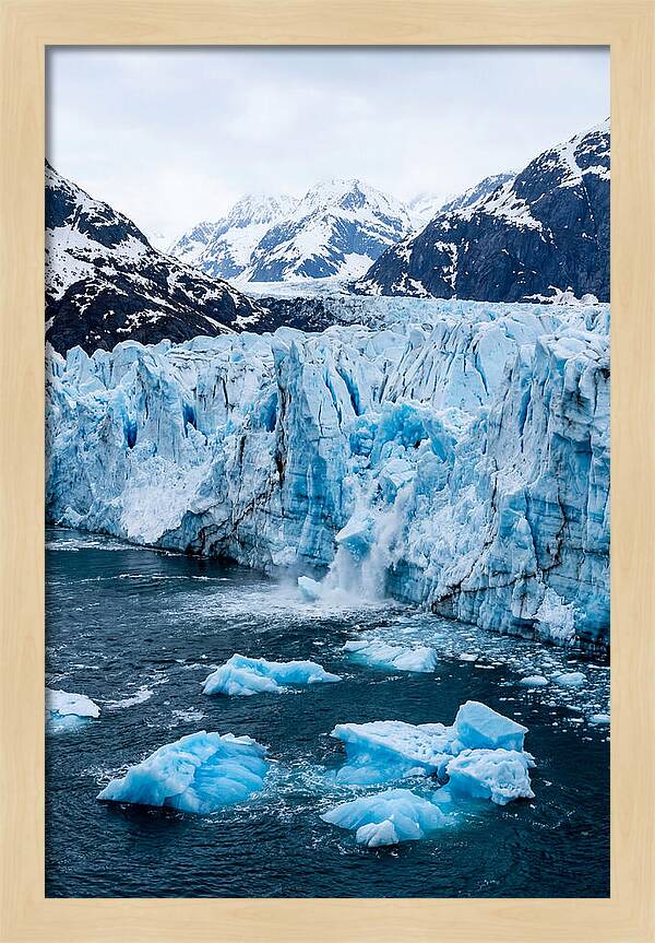 Tidewater Glacier Calving Into Fjord