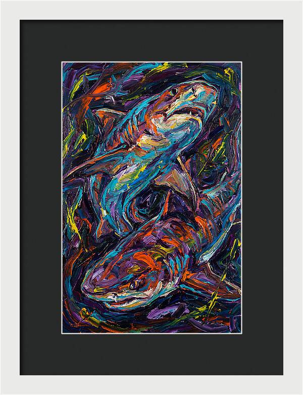 Tiger Shark Dance