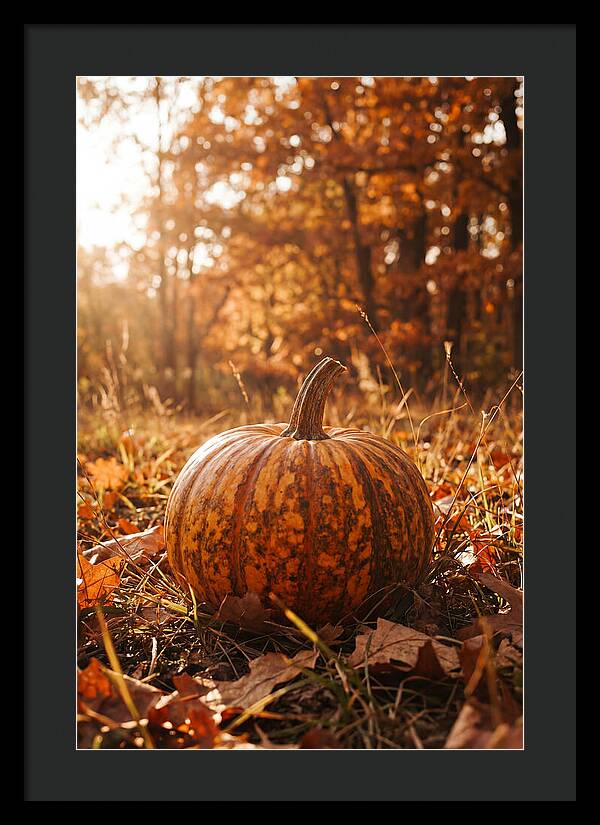Tiger Striped Pumpkin In Autumn