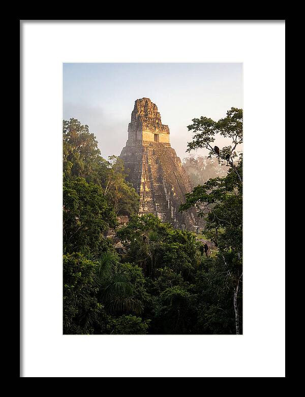 Tikal Temple I Rising Above Jungle Canopy