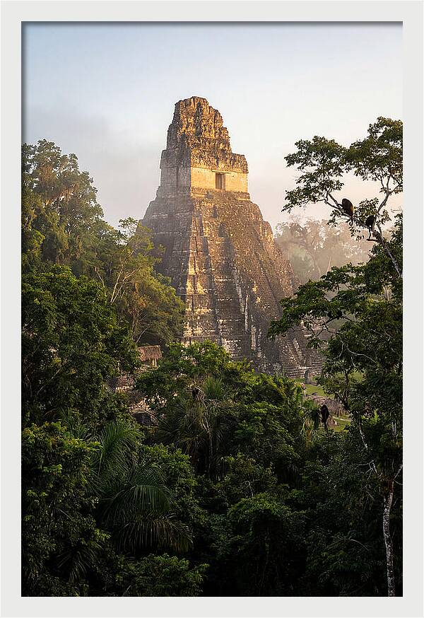 Tikal Temple I Rising Above Jungle Canopy