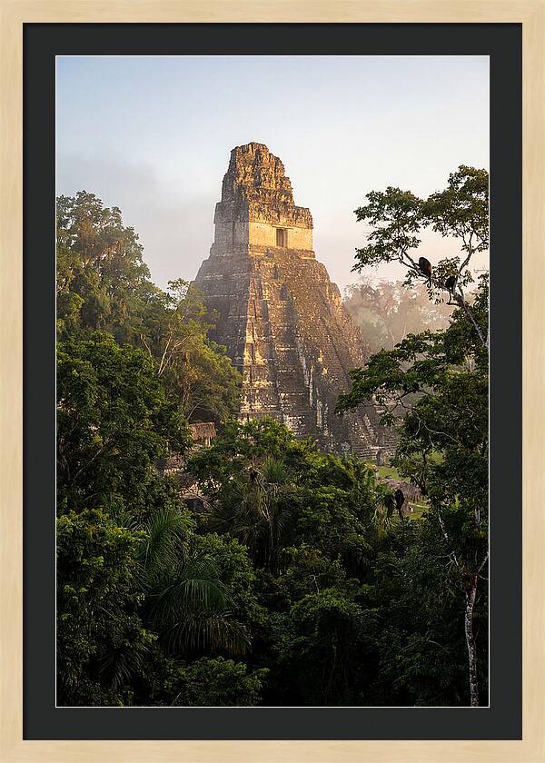 Tikal Temple I Rising Above Jungle Canopy