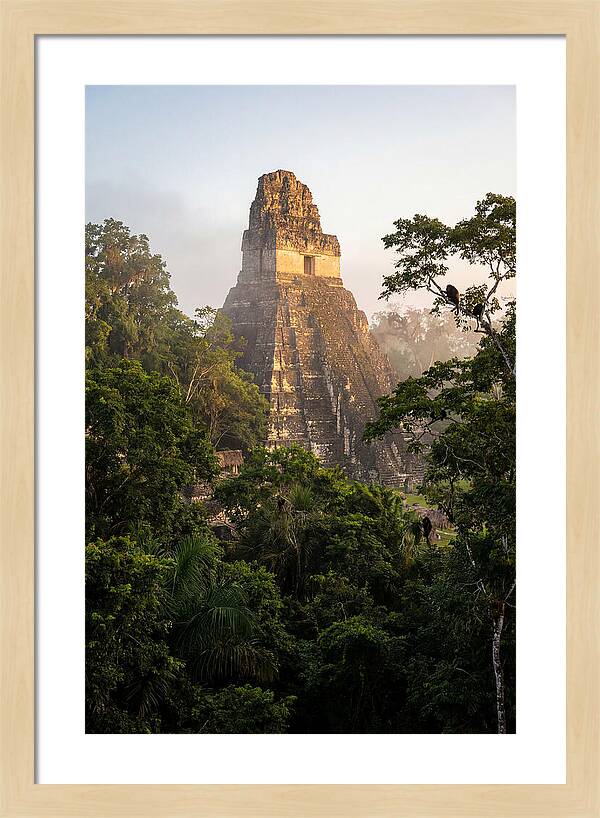 Tikal Temple I Rising Above Jungle Canopy