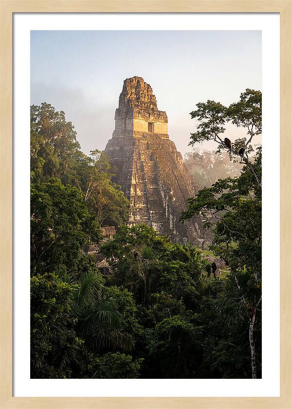 Tikal Temple I Rising Above Jungle Canopy