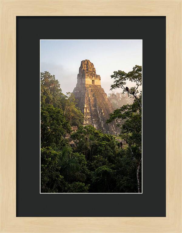 Tikal Temple I Rising Above Jungle Canopy