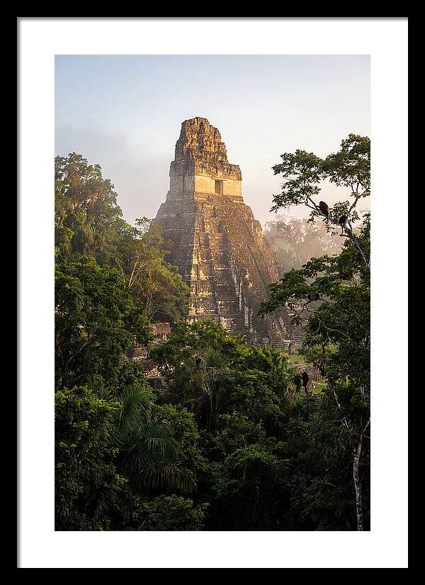 Tikal Temple I Rising Above Jungle Canopy