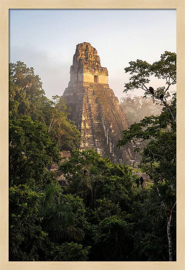 Tikal Temple I Rising Above Jungle Canopy