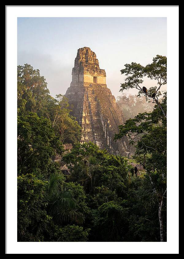 Tikal Temple I Rising Above Jungle Canopy