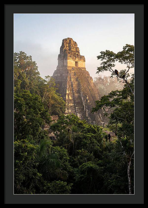 Tikal Temple I Rising Above Jungle Canopy
