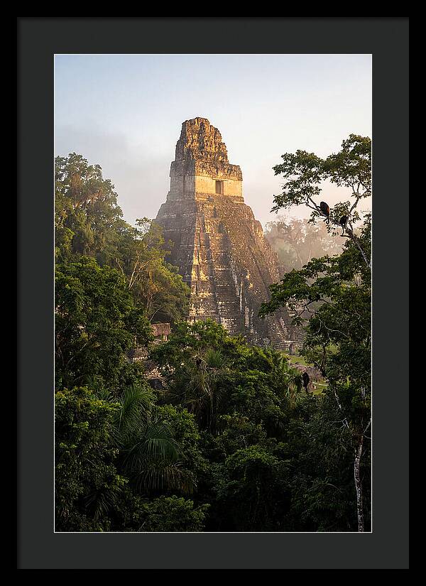 Tikal Temple I Rising Above Jungle Canopy