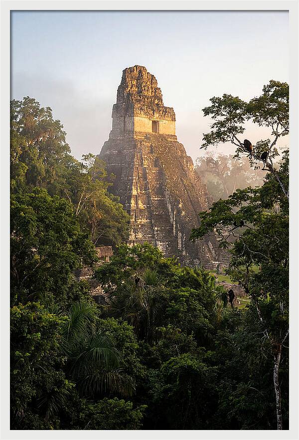 Tikal Temple I Rising Above Jungle Canopy