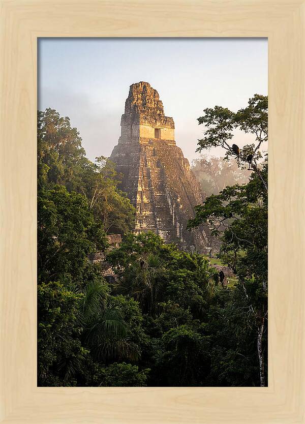 Tikal Temple I Rising Above Jungle Canopy