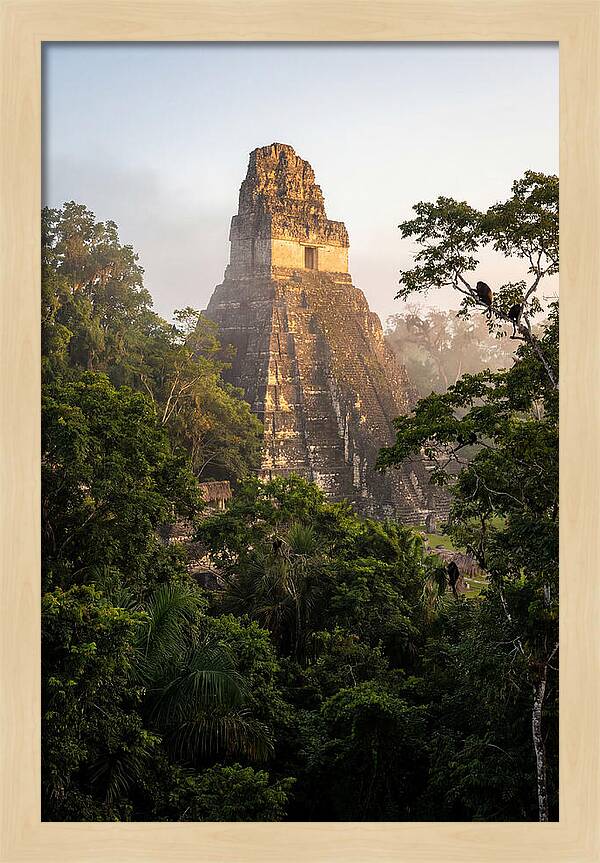 Tikal Temple I Rising Above Jungle Canopy