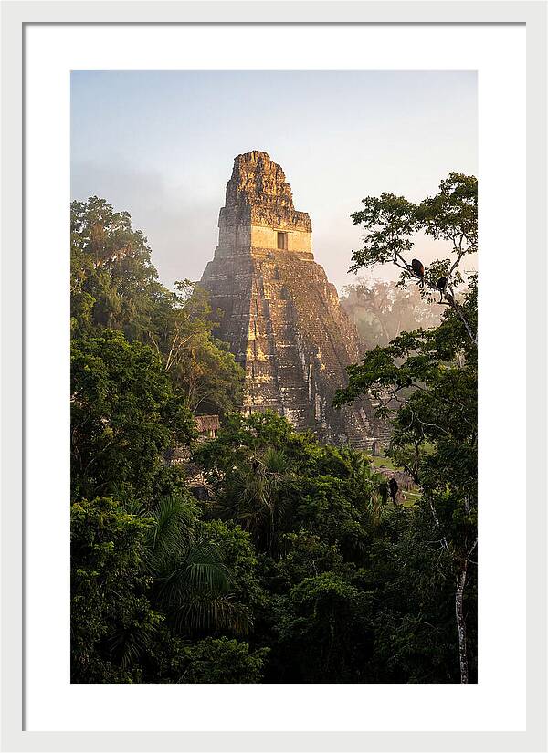 Tikal Temple I Rising Above Jungle Canopy