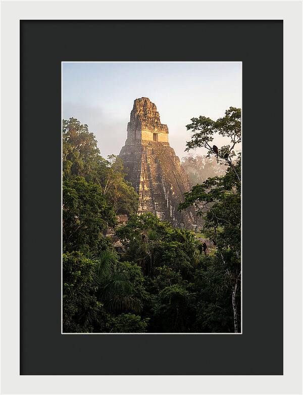 Tikal Temple I Rising Above Jungle Canopy