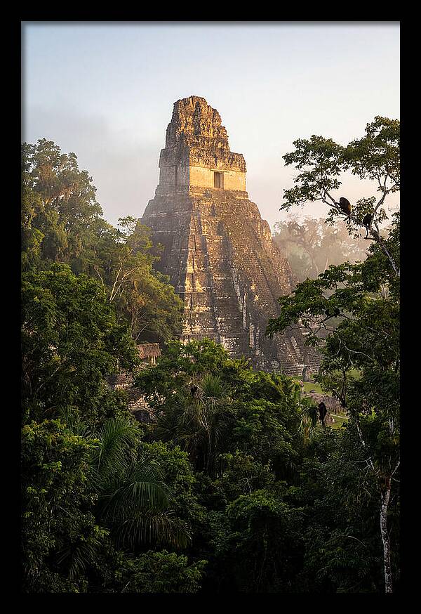 Tikal Temple I Rising Above Jungle Canopy
