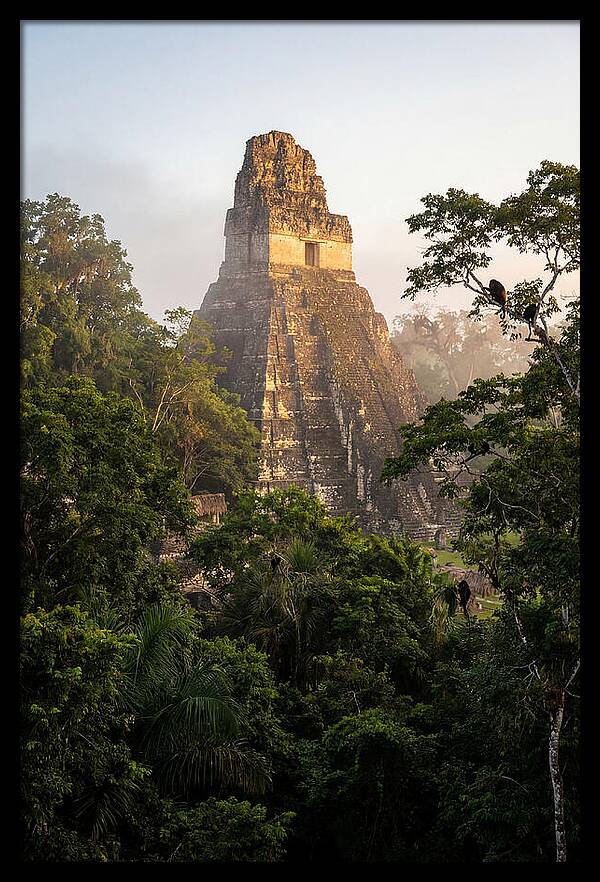 Tikal Temple I Rising Above Jungle Canopy
