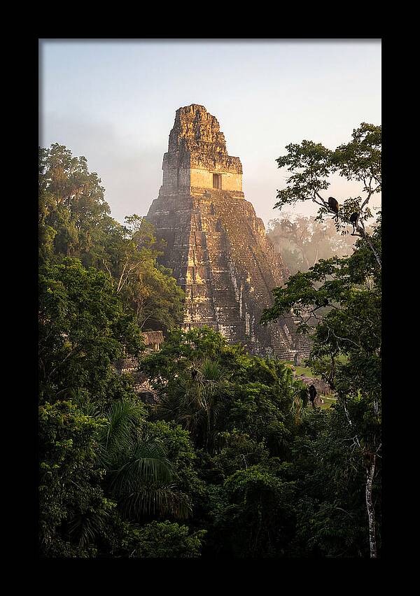 Tikal Temple I Rising Above Jungle Canopy