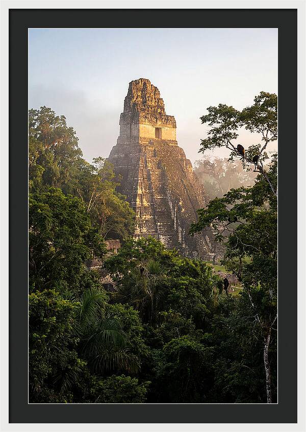 Tikal Temple I Rising Above Jungle Canopy
