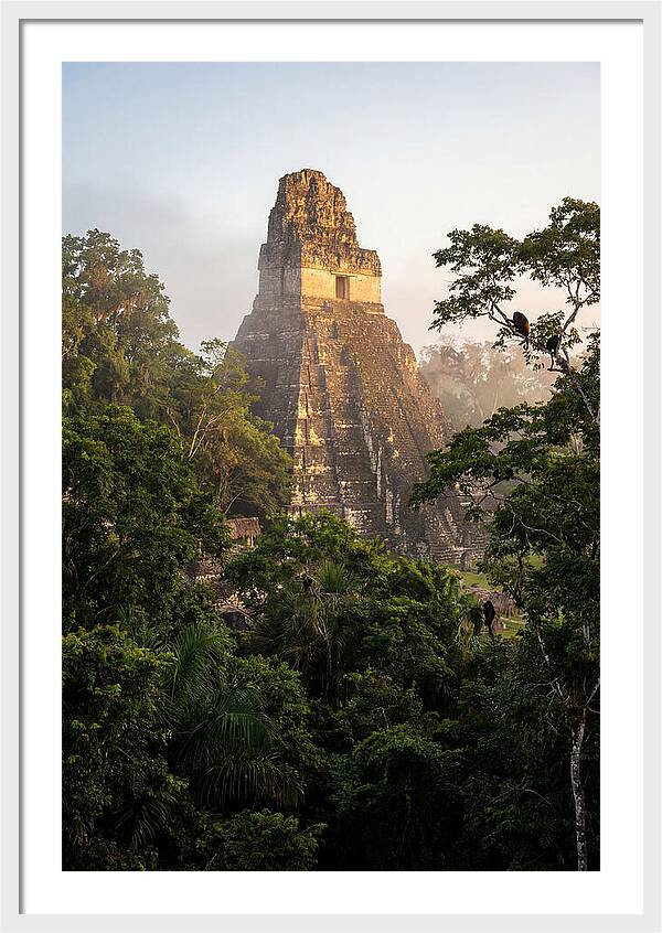 Tikal Temple I Rising Above Jungle Canopy