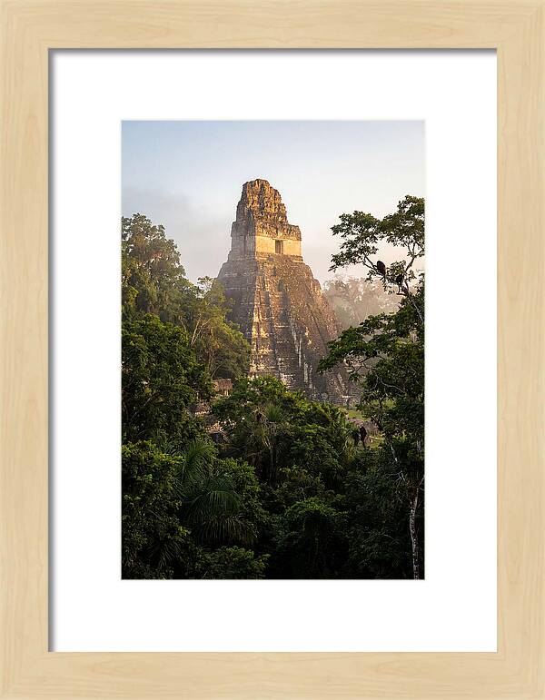 Tikal Temple I Rising Above Jungle Canopy