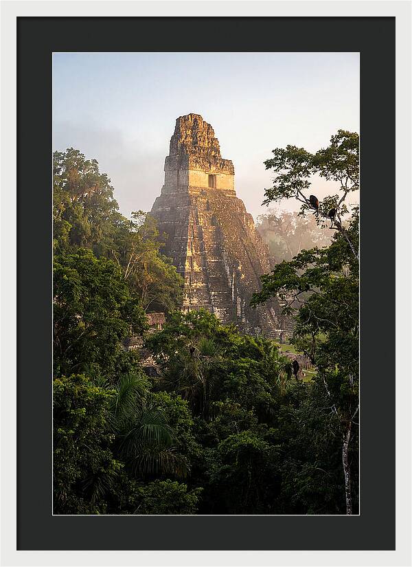 Tikal Temple I Rising Above Jungle Canopy