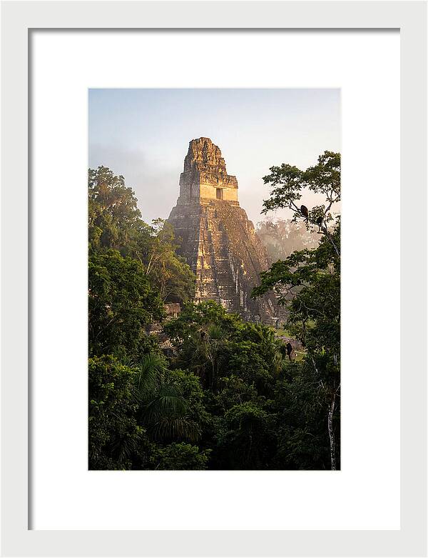 Tikal Temple I Rising Above Jungle Canopy