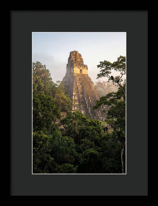 Tikal Temple I Rising Above Jungle Canopy