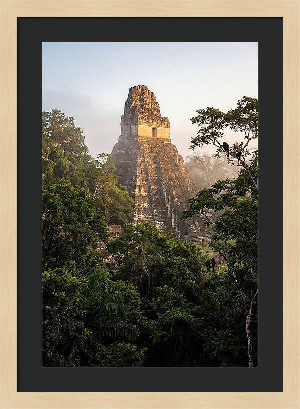 Tikal Temple I Rising Above Jungle Canopy