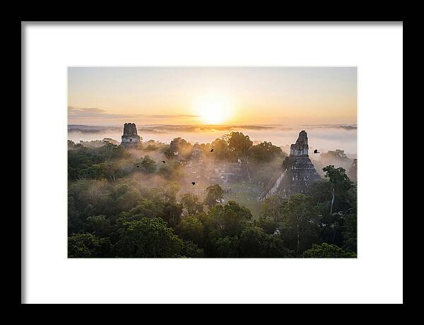 Tikal Temple Iv At Dawn