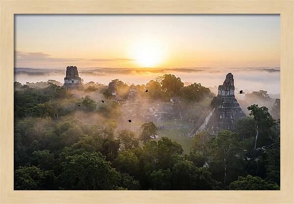 Tikal Temple Iv At Dawn