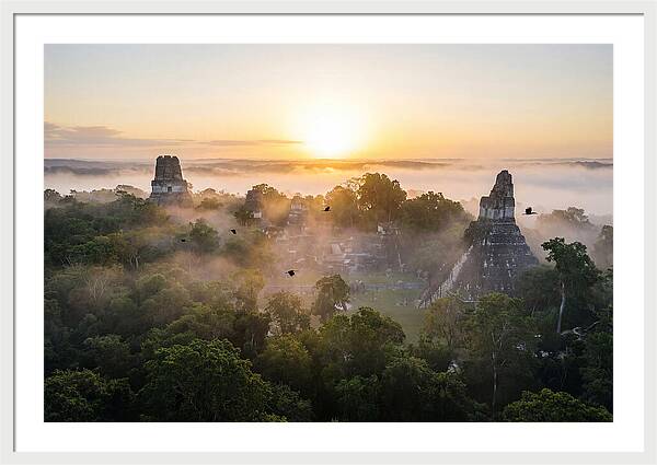 Tikal Temple Iv At Dawn