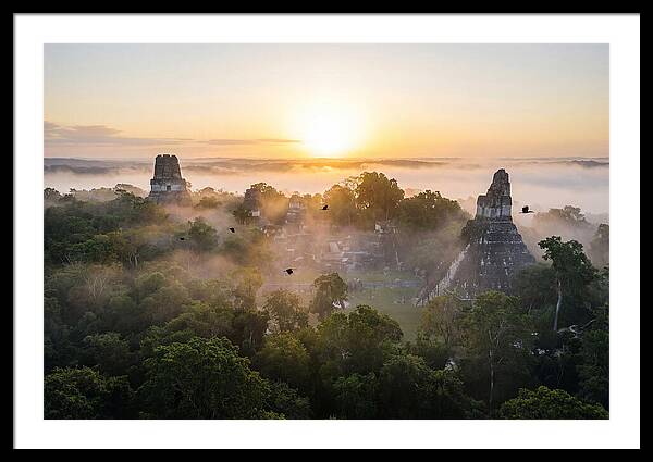 Tikal Temple Iv At Dawn