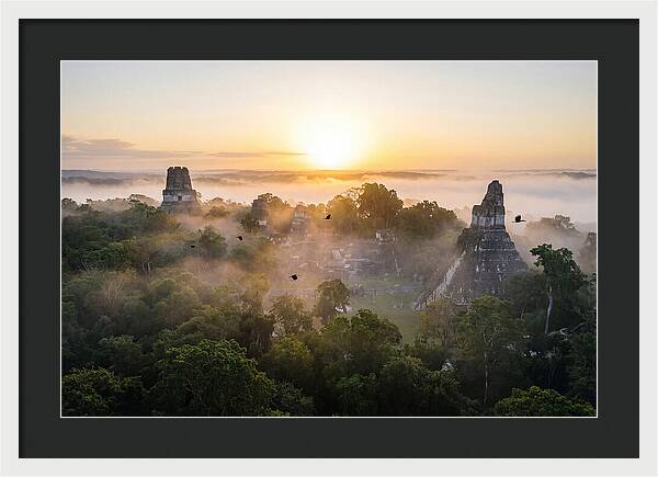Tikal Temple Iv At Dawn