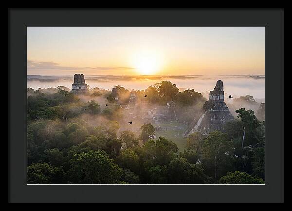Tikal Temple Iv At Dawn