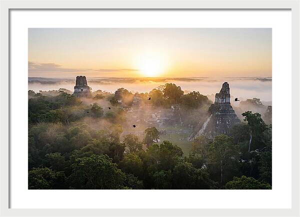 Tikal Temple Iv At Dawn