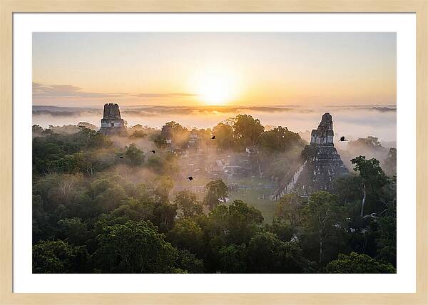 Tikal Temple Iv At Dawn