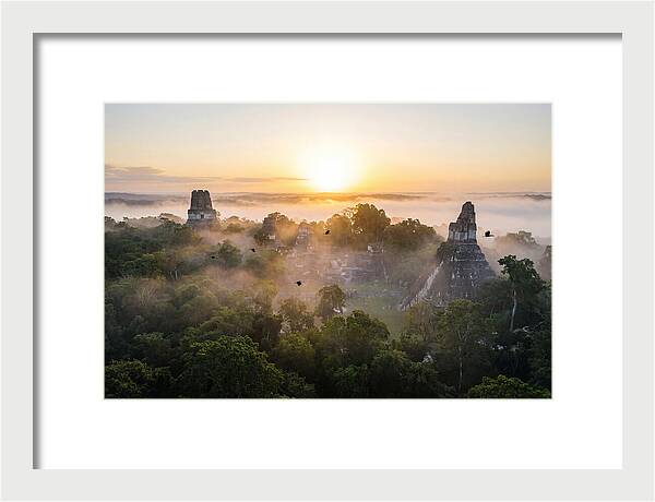 Tikal Temple Iv At Dawn