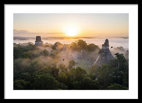 Tikal Temple Iv At Dawn