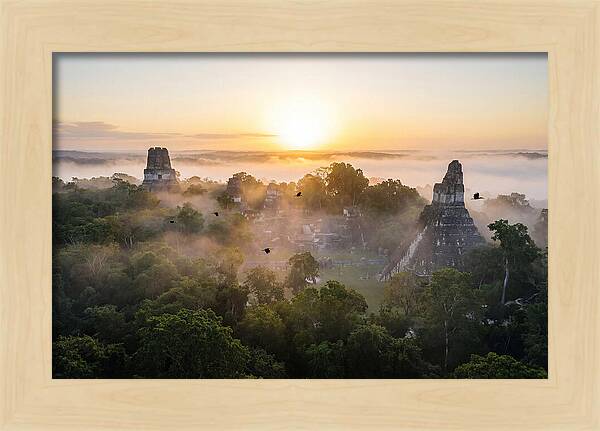 Tikal Temple Iv At Dawn