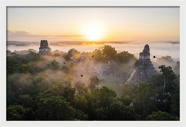 Tikal Temple Iv At Dawn