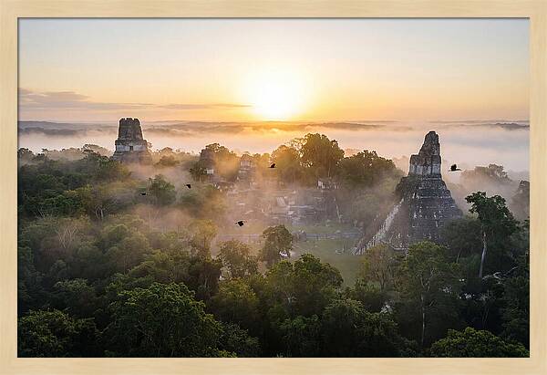 Tikal Temple Iv At Dawn
