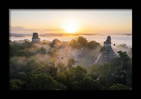 Tikal Temple Iv At Dawn
