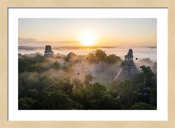 Tikal Temple Iv At Dawn