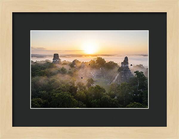 Tikal Temple Iv At Dawn