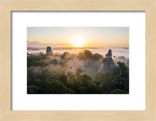 Tikal Temple Iv At Dawn