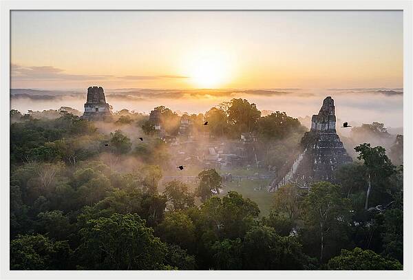 Tikal Temple Iv At Dawn