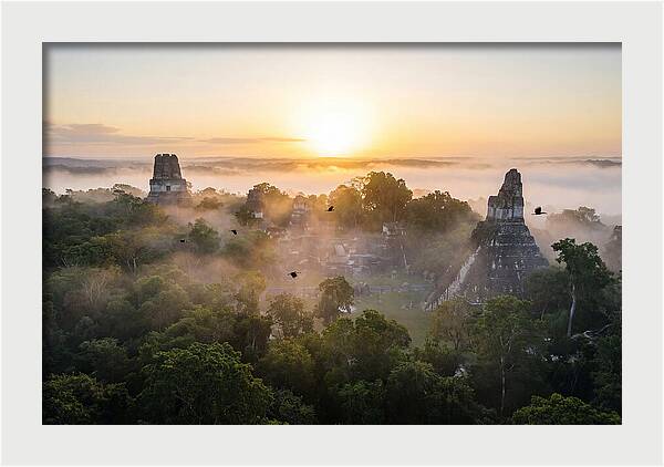 Tikal Temple Iv At Dawn